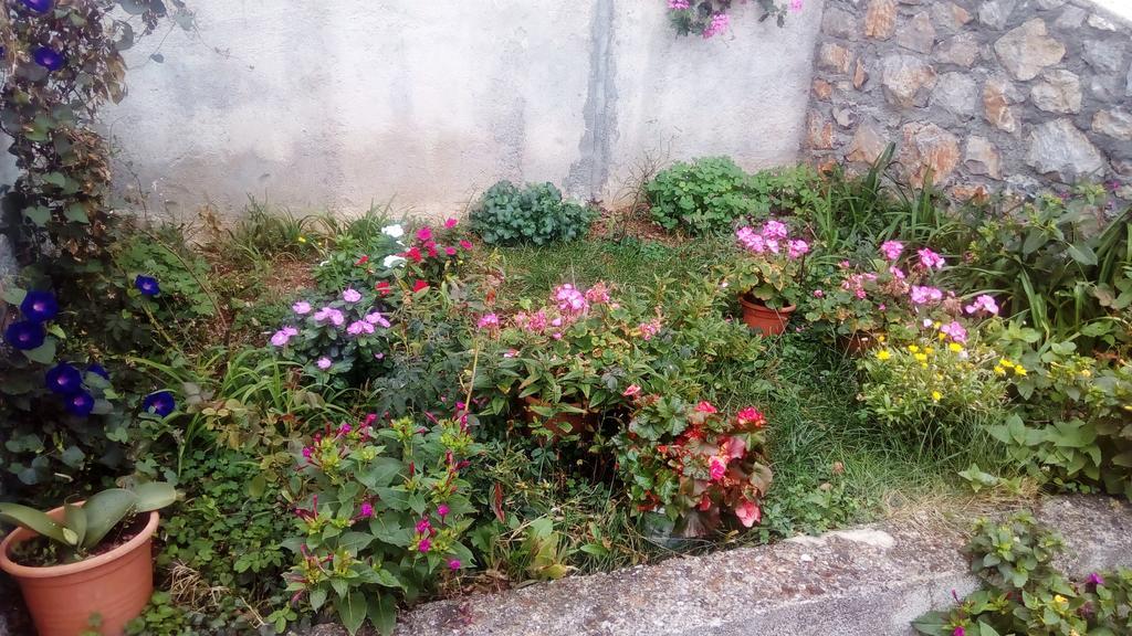 Guesthouse Filepi Senj  Eksteriør bilde